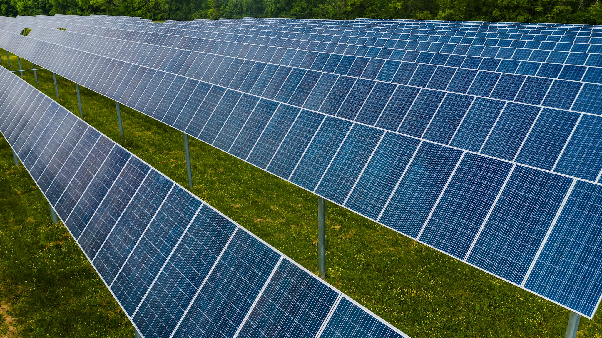 Aerial view of solar panels in a lush green field, showcasing renewable energy.